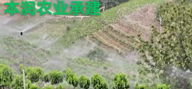 應用視頻