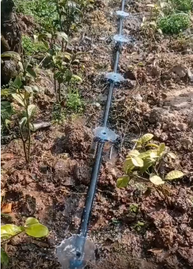 應用視頻